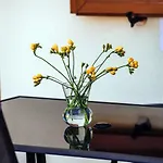 Appartement Roko Opacac Veli Iz,otok Iz *