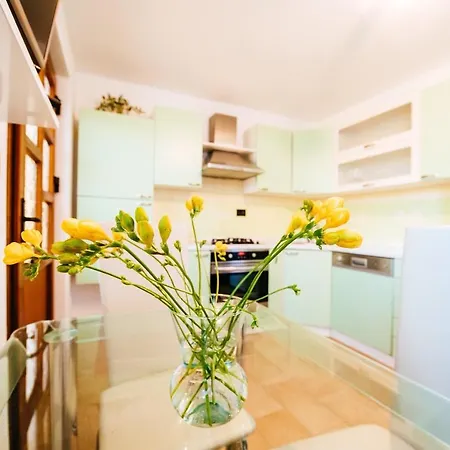 Apartment Roko Opacac Veli Iz,otok Iz Veli Iz