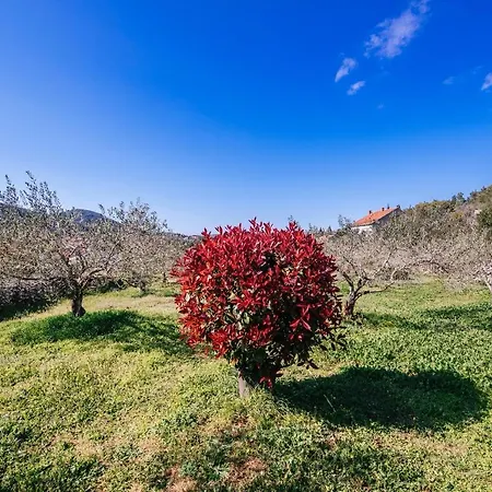Roko Opacac Veli Iz,otok Iz Apartment