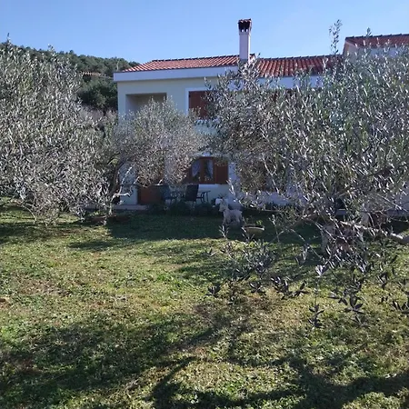 Roko Opacac Veli Iz,otok Iz Lejlighed Veli Iž