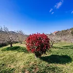 Roko Opacac Veli Iz,otok Iz Apartment