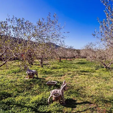 Roko Opacac Veli Iz,otok Iz