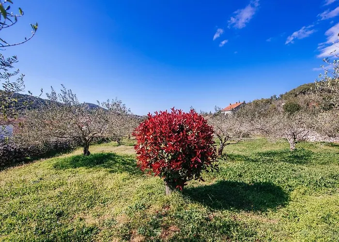 Roko Opacac Veli Iz,otok Iz Апартаменты