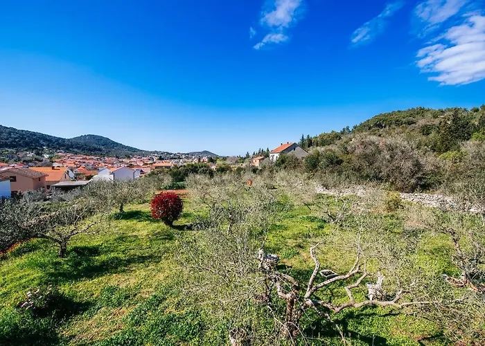 Roko Opacac Veli Iz,otok Iz Апартаменты *